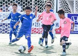 米体介绍国米潜在新援姆拉契奇：心智成熟，后场组织进攻稳健